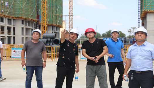乐竞董事会巡检圆满完成